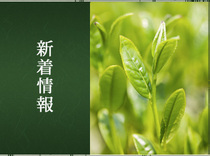 新着情報