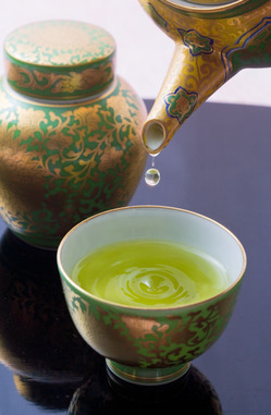 2013年間カタログ.jpg