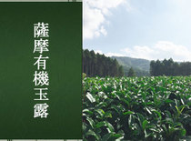 薩摩有機玉露