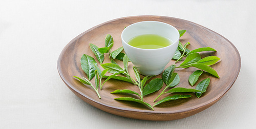 茶葉&湯飲み.jpg