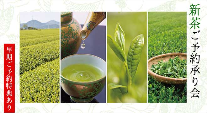 slide_shincha02023_2.jpg