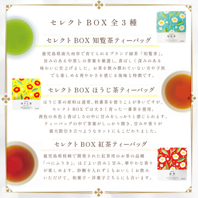 世界緑茶コンテスト最高金賞受賞-7-【提出用_3種に変更】インスタ用_世界緑茶コンテスト2024_特徴.jpeg