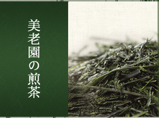 美老園の煎茶