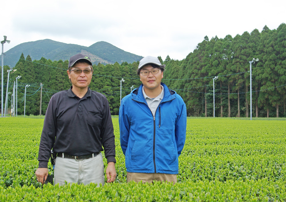 川辺-前田製茶.jpg